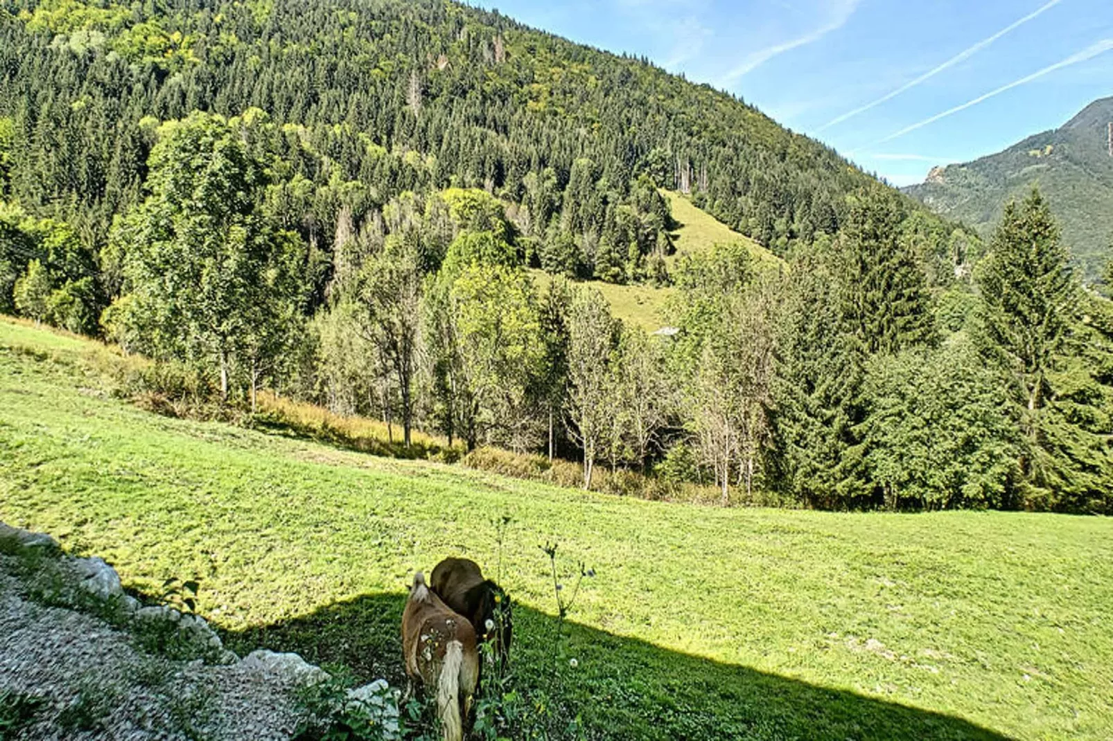 Appartements à Saint Jean d'Aulps-Areas within 1km in summer