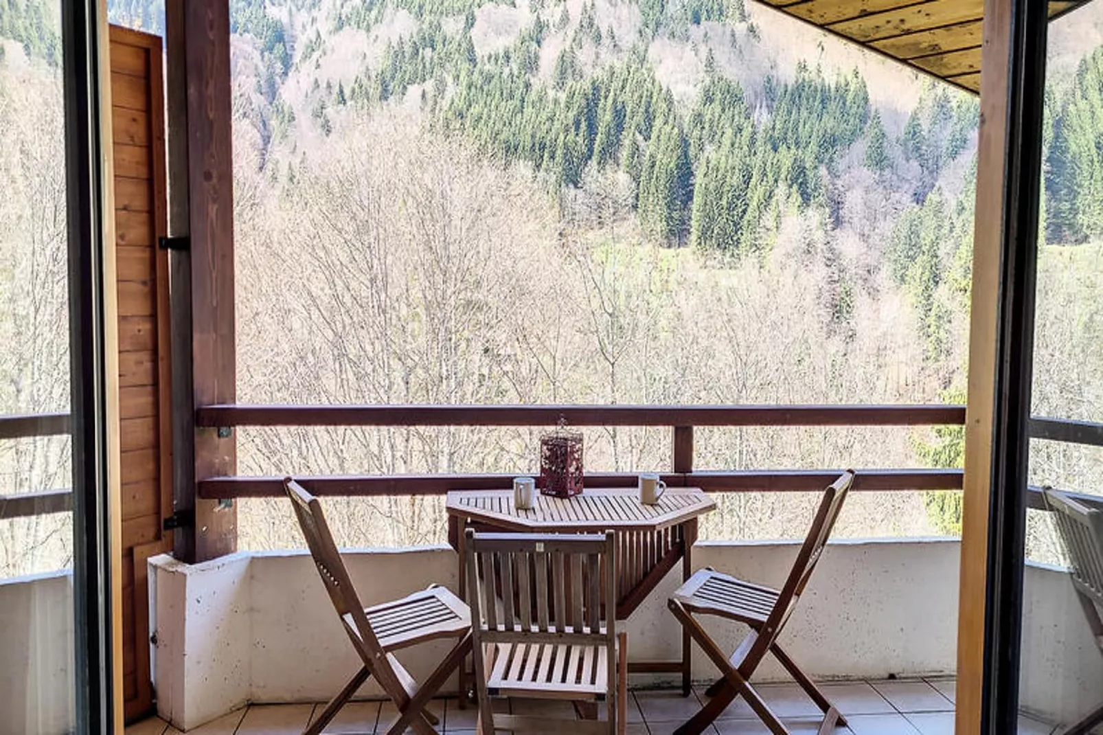 Appartements à Saint Jean d'Aulps-Terrace balcony