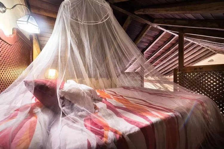Finca Naturacanaria - Casa Azuaje-Schlafzimmer