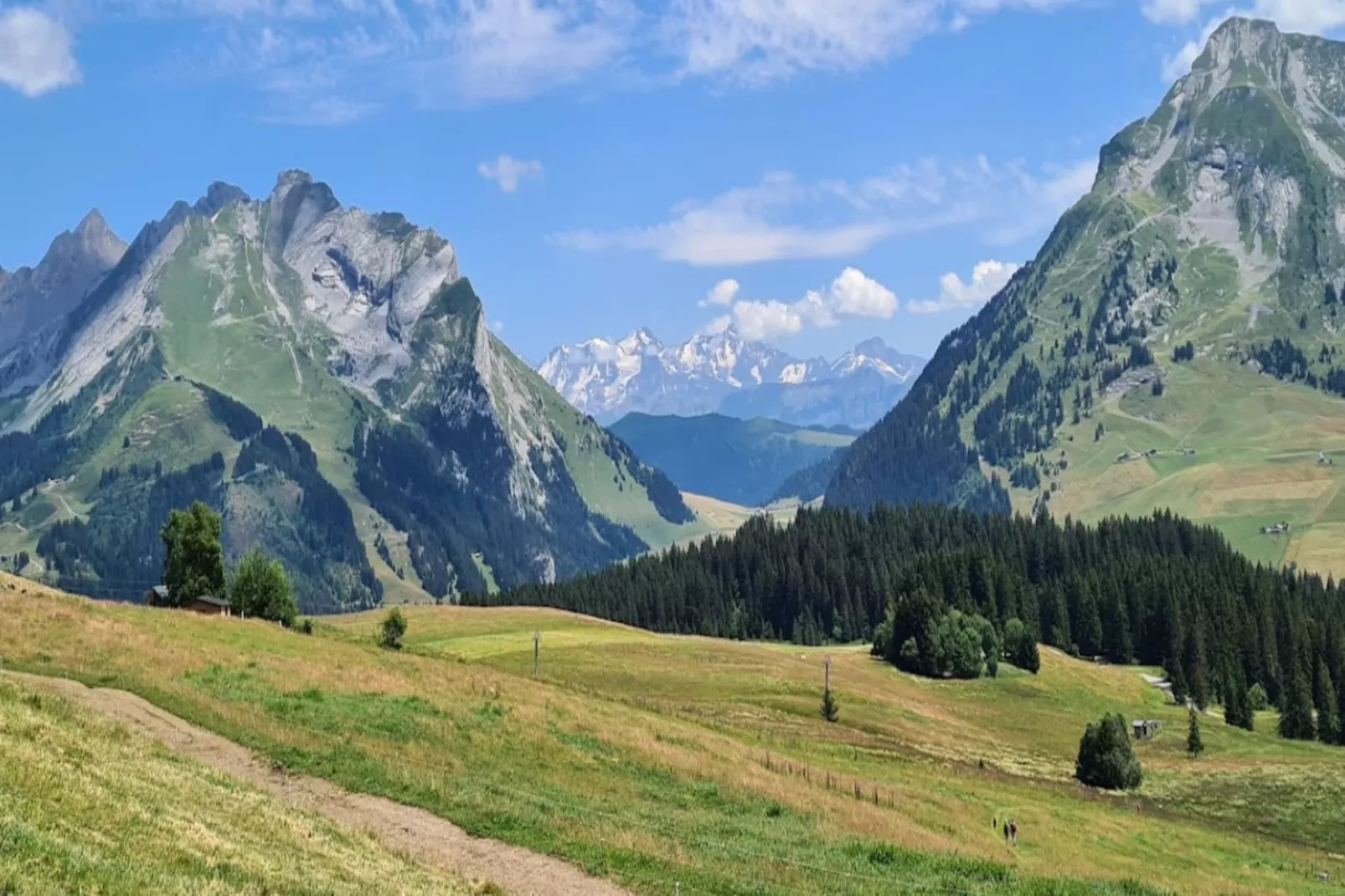Résidence Le Belvedere 3-Gebiete Sommer 5 km