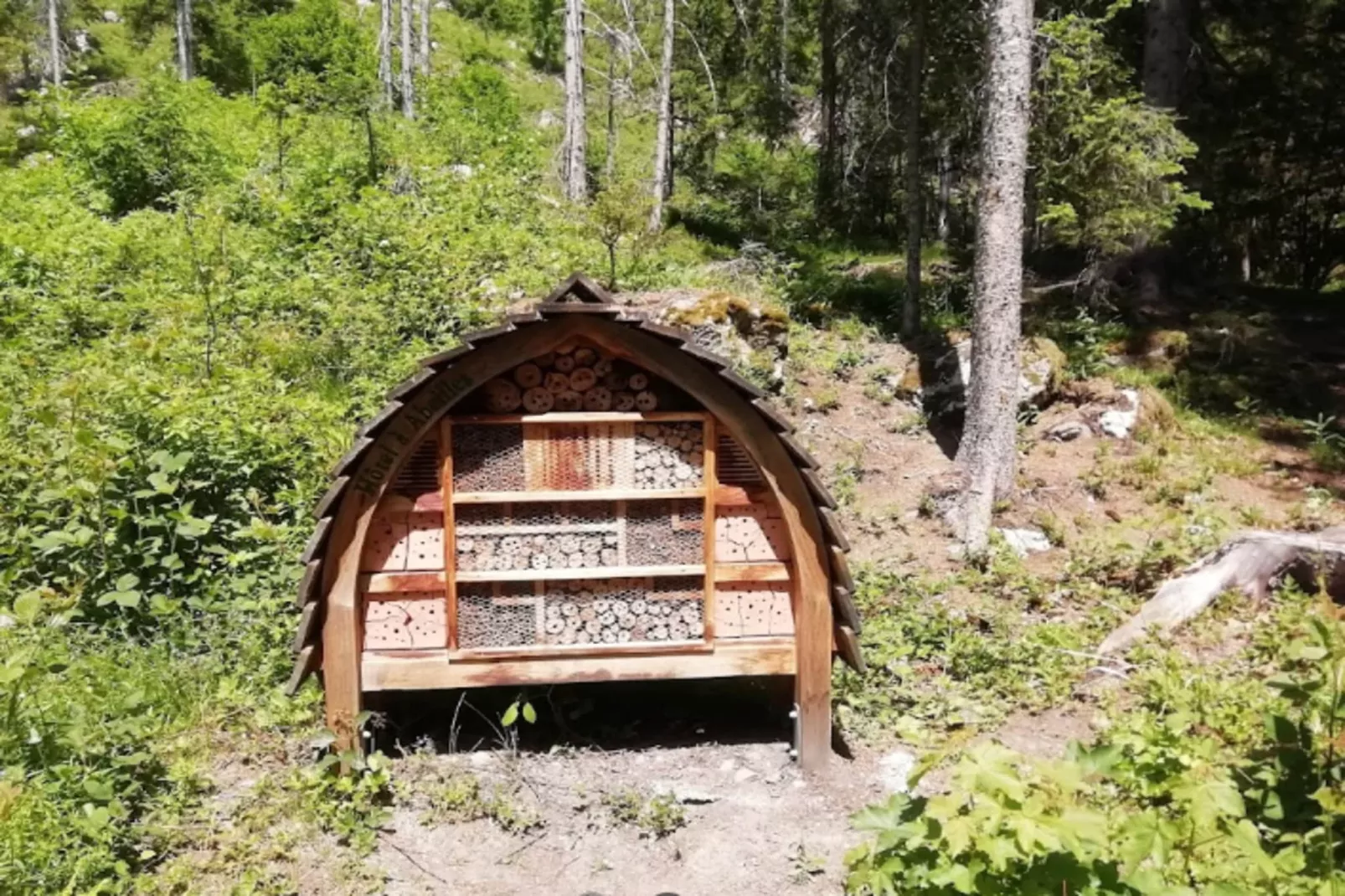 Résidence Prestige Odalys Isatis****-Areas within 5km in summer