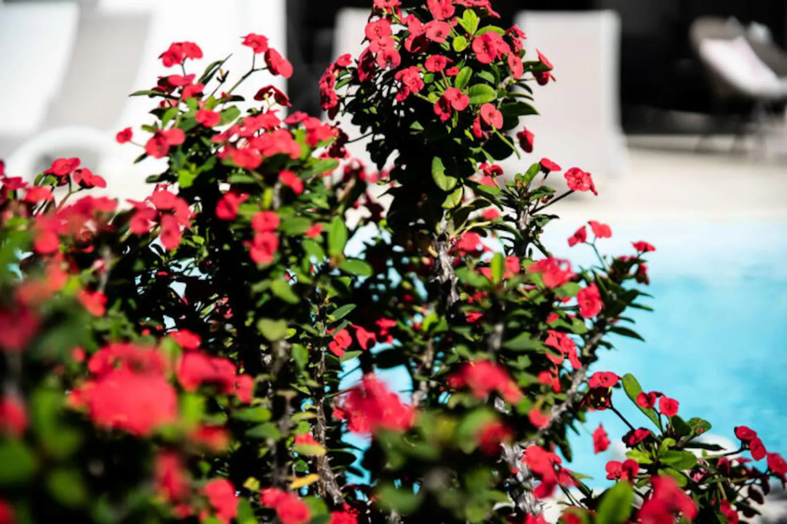 Villa Corossol-Image-tags.