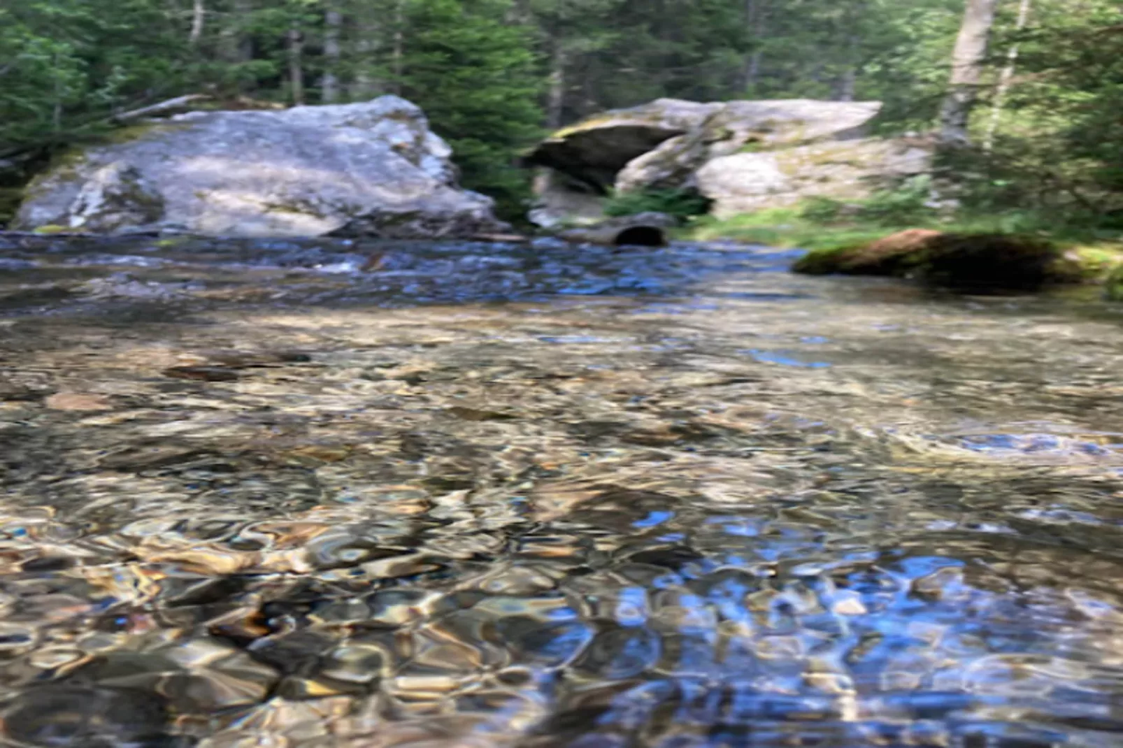 Résidence Prestige Odalys Isatis****-Areas within 5km in summer