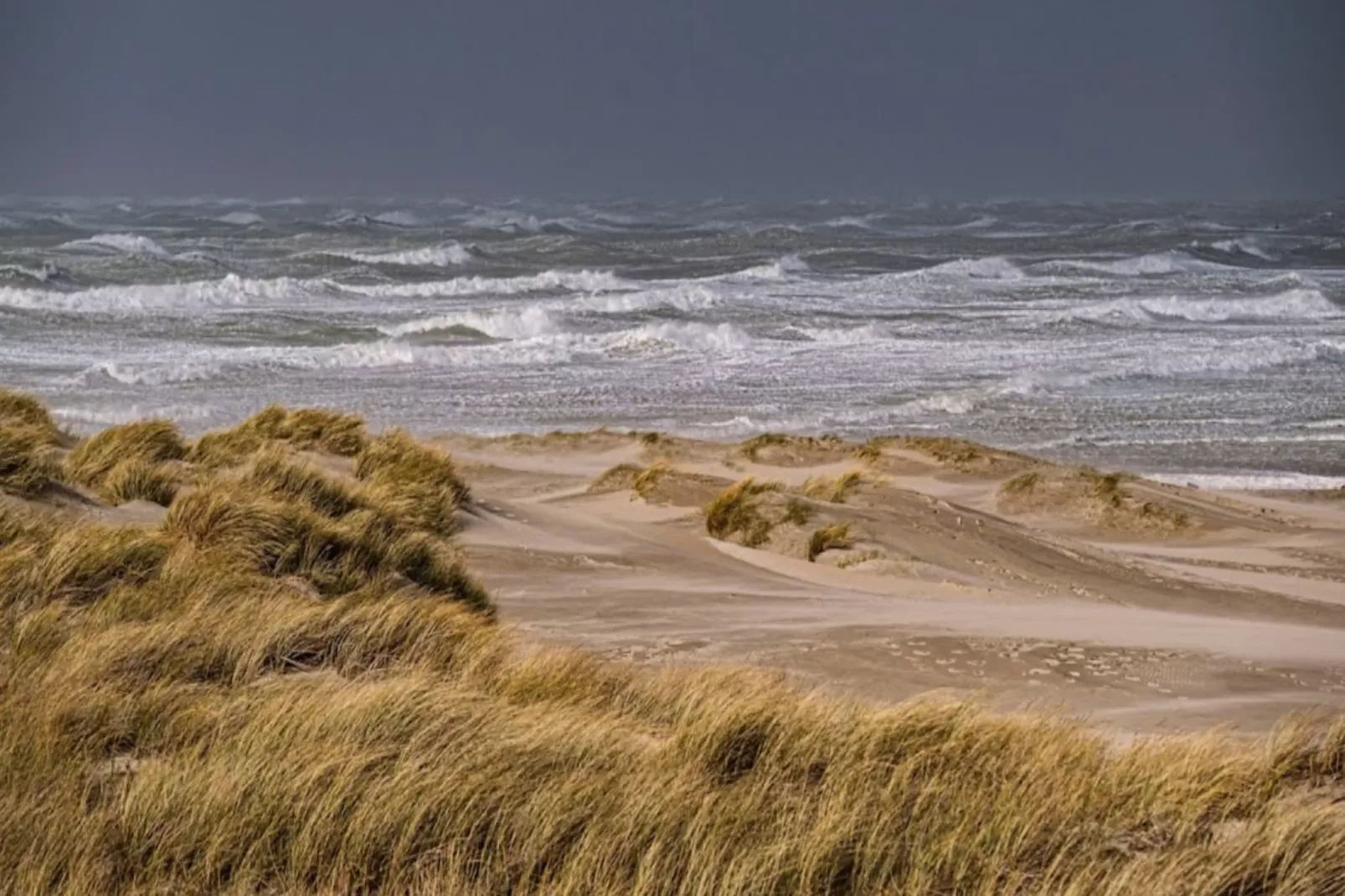 Résidence Appartement Pour 4 Pers Avec Piscine, Tennis Et  Parking 56-Areas within 5km in summer