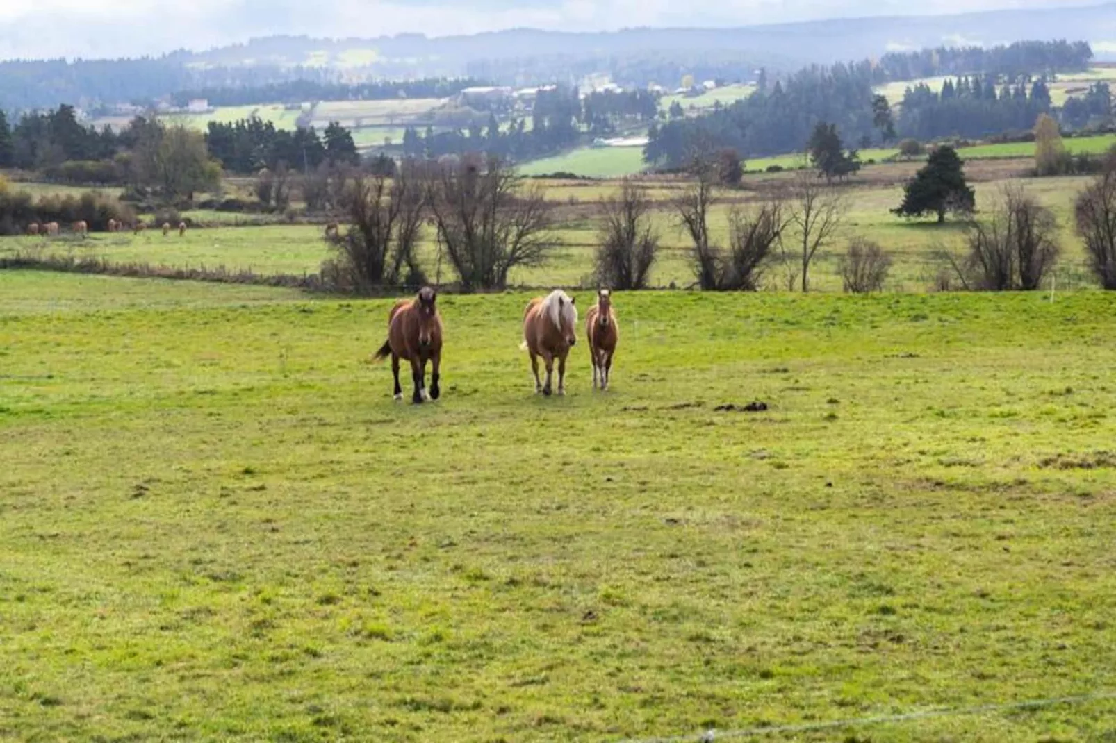 Gîte de France Gîte de la grangette 5/6 personnes 3 épis-Image-tags.