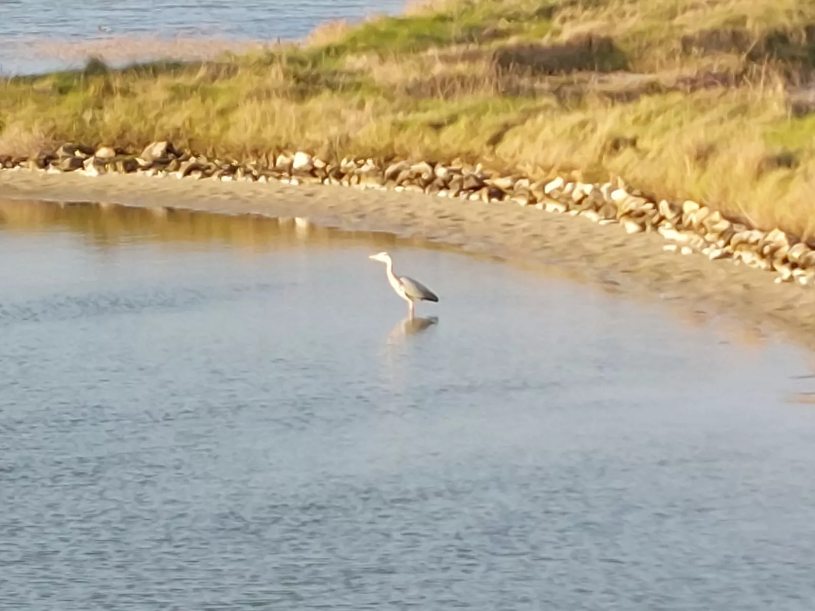 Charme et Confort en bord de mer-Umgebung