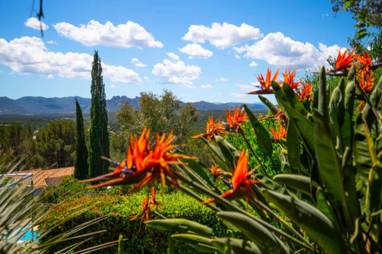 Villa 10 Pers Piscine Priv&eacute;e Pr&egrave;s De Saint-tropez-Image-tags.