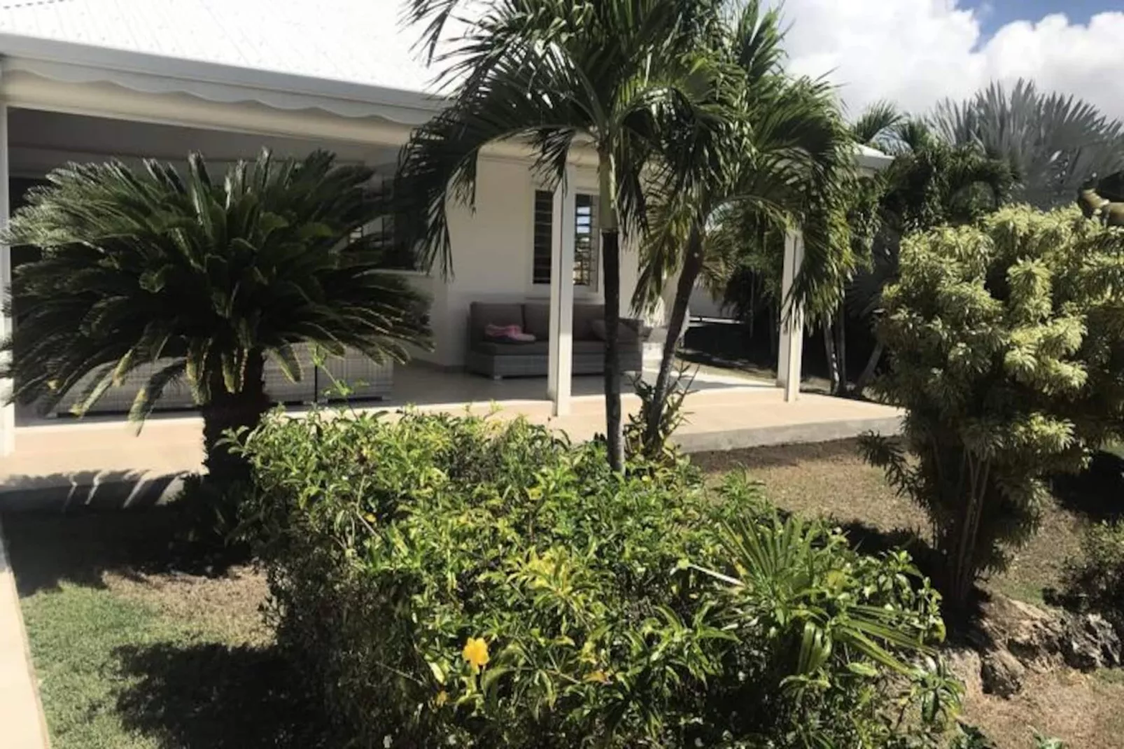 Villa Arbre Du Voyageur-Image-tags.