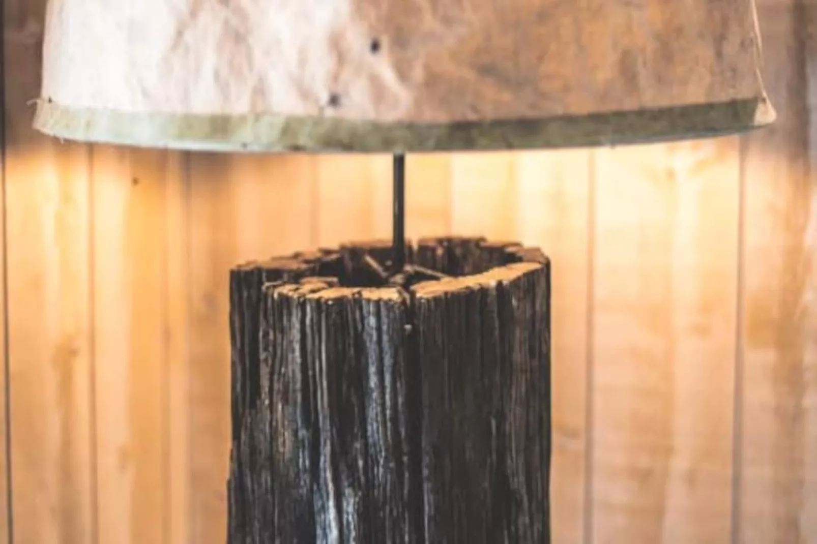 Magnifique Villa Climatis&eacute;e -10 Personnes Avec Piscine Et P&eacute;tanque - Pyla-Image-tags.