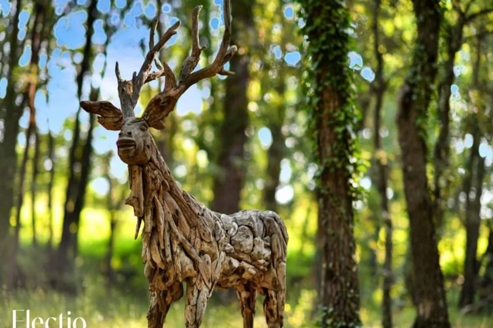 Grande Bastide | Domaine Tour Campanets-Image-tags.