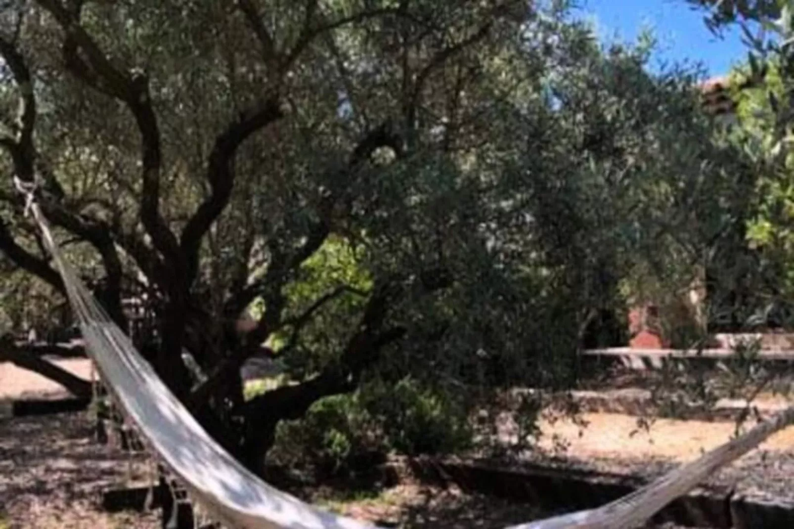 La Matina : Exp&eacute;rimentez Une Maison D'architecte-Image-tags.