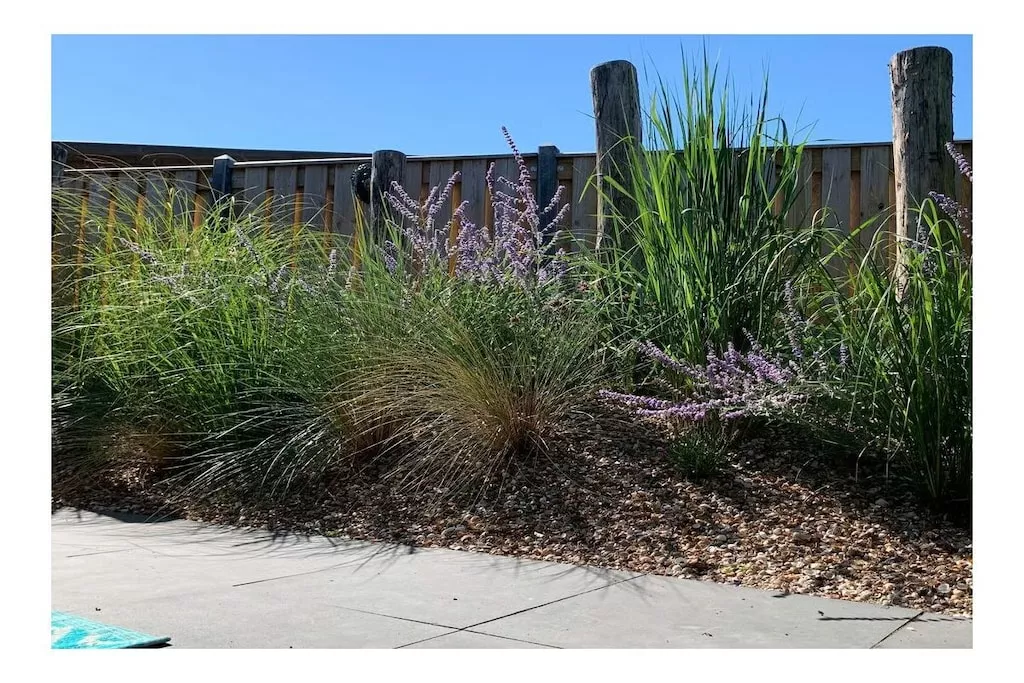 637765-Nicht zugeordnet