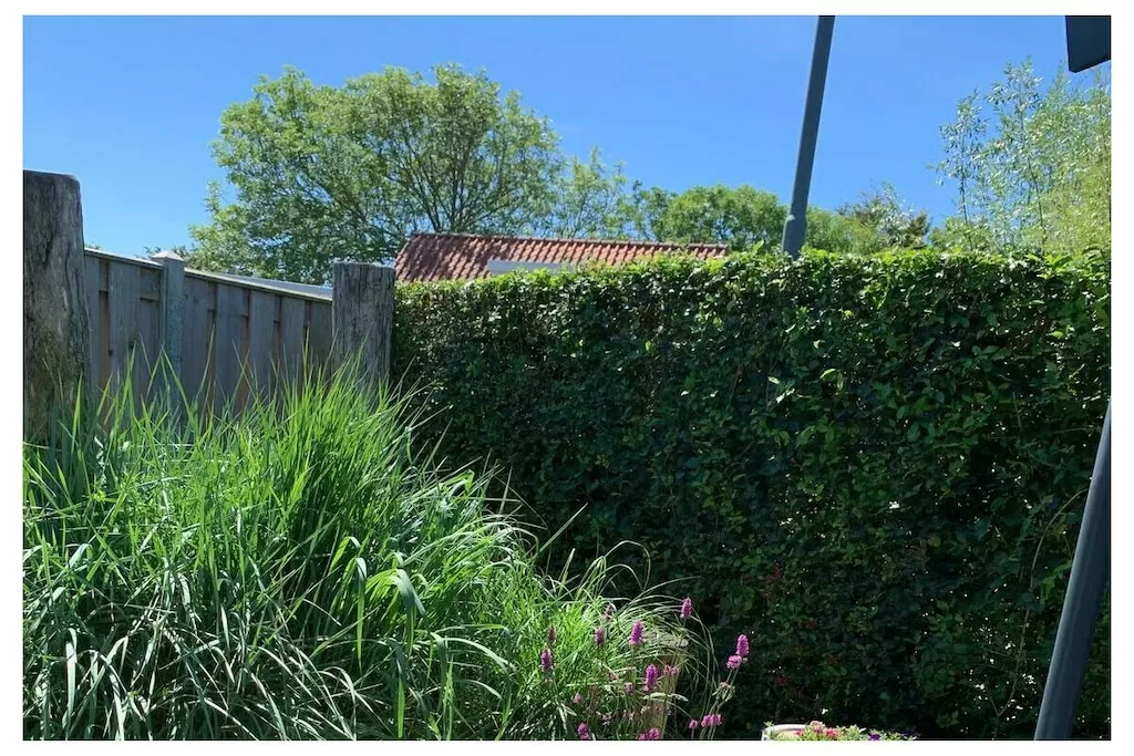 637765-Nicht zugeordnet