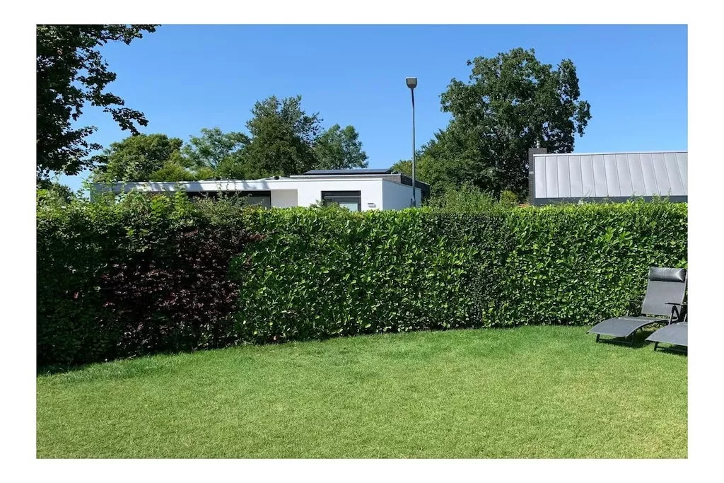 637765-Nicht zugeordnet