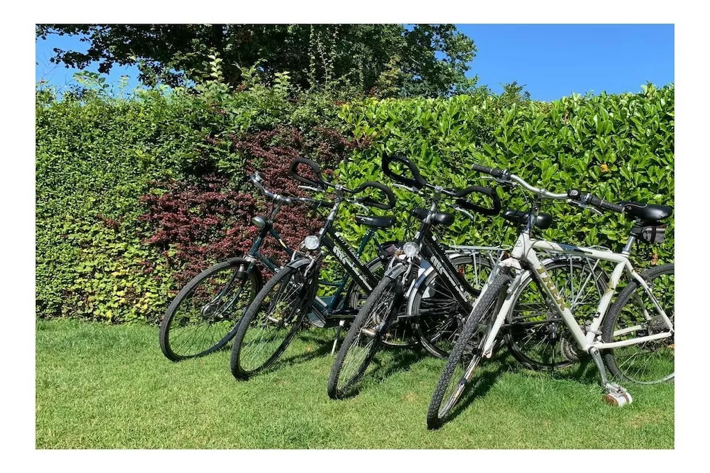 637765-Nicht zugeordnet