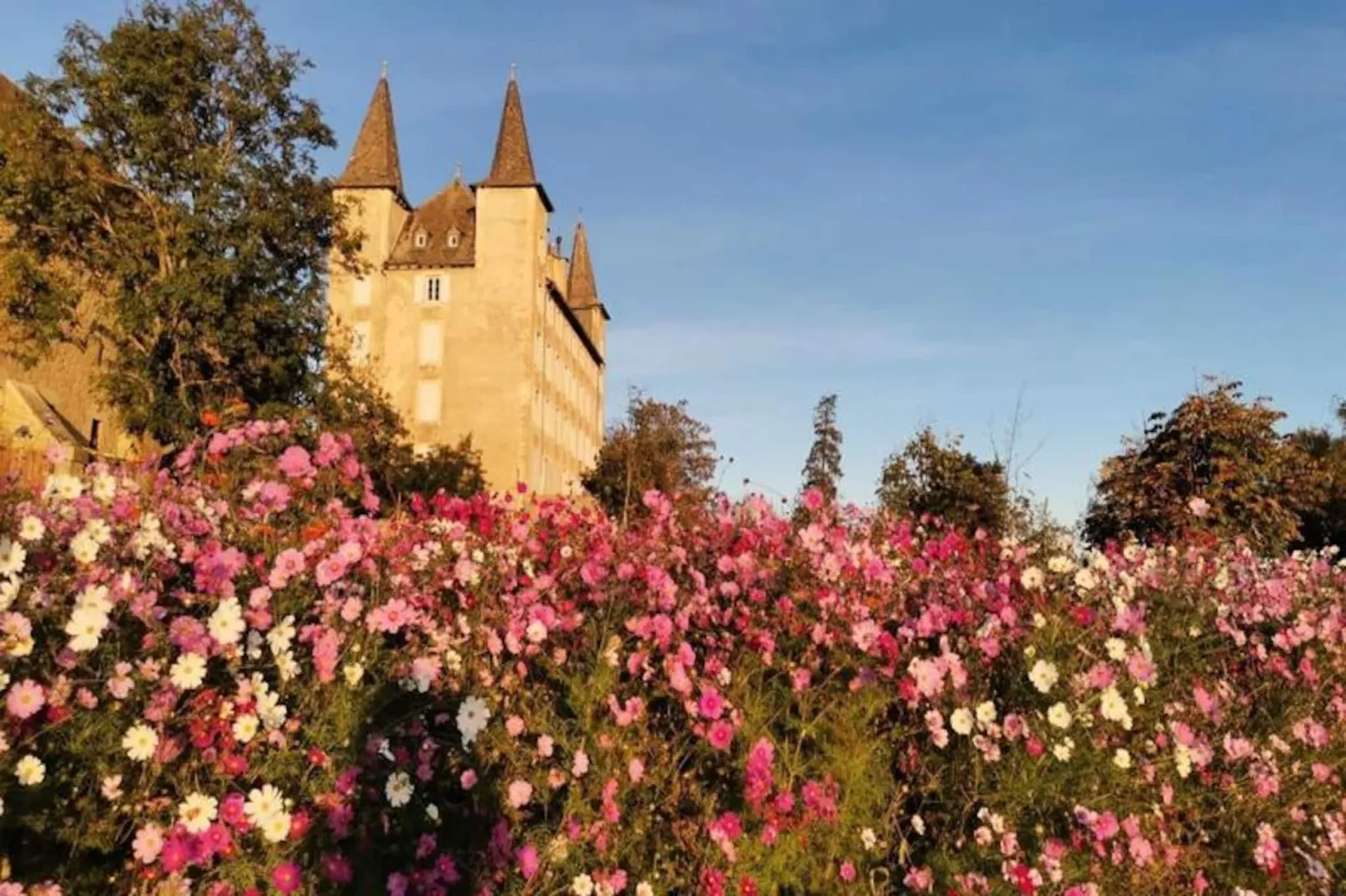 Gîte de France Gîte le crespin 4 épis-Image-tags.