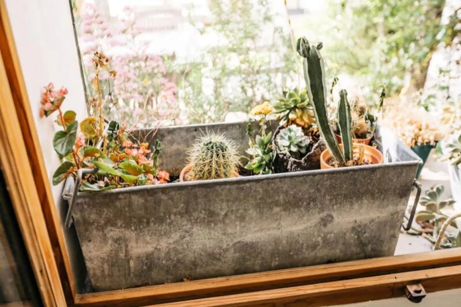 Perle Rare Avec Vues Panoramiques-Image-tags.