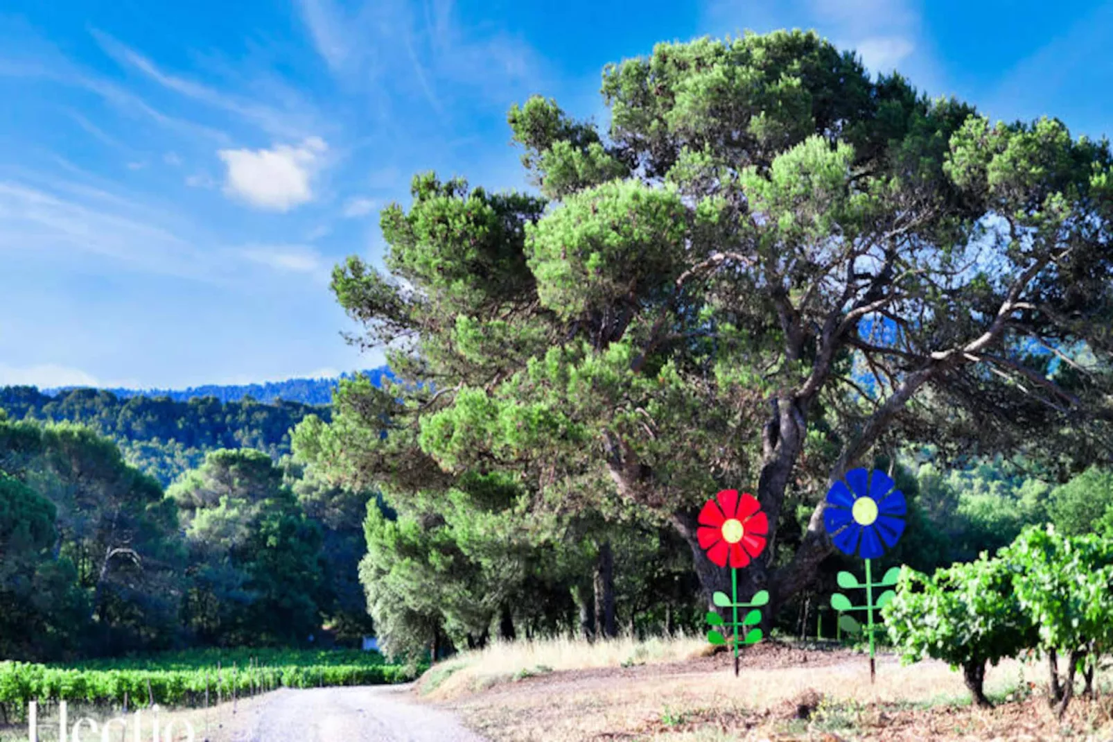 Grande Bastide | Domaine Tour Campanets-Image-tags.