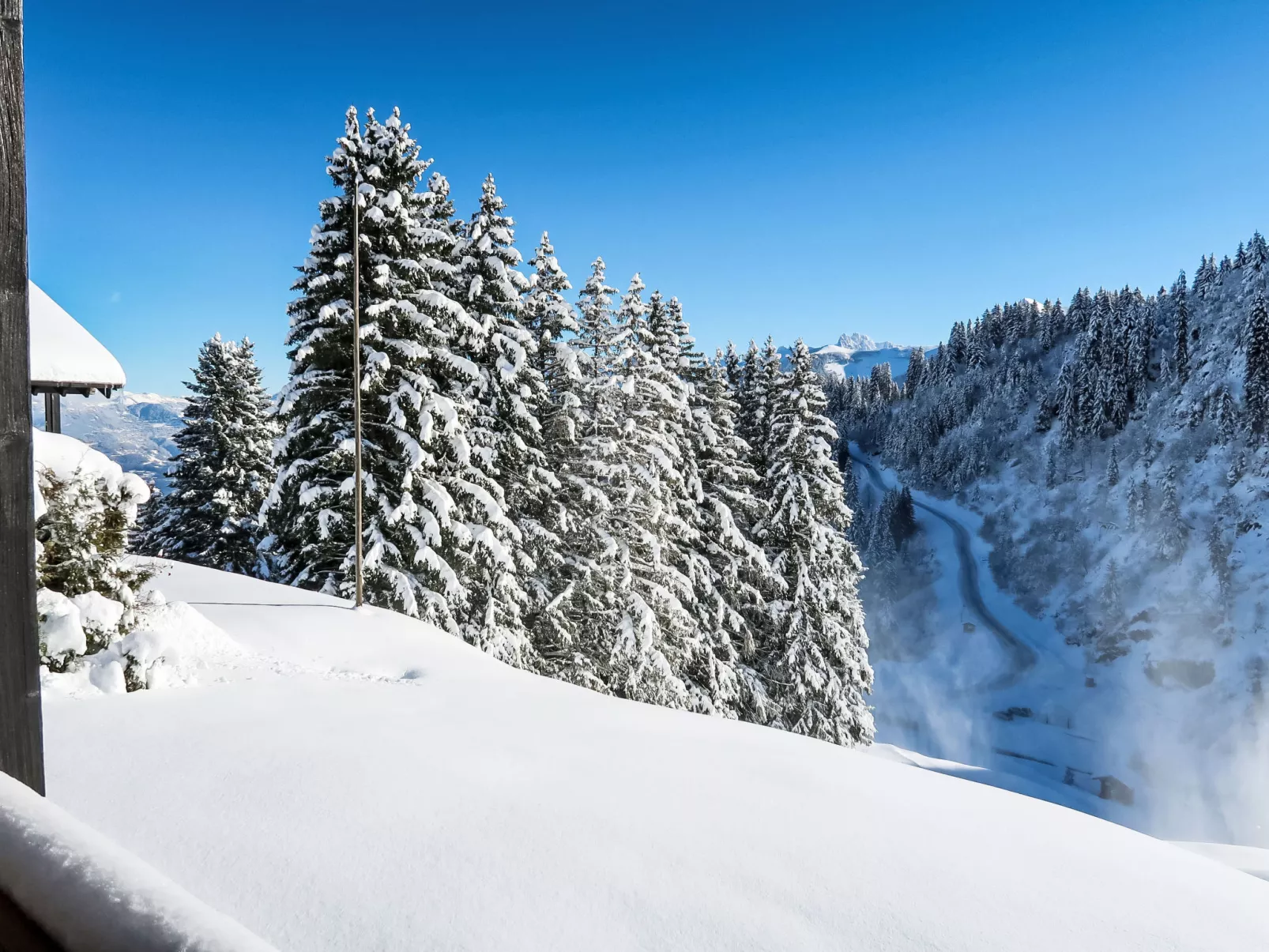 Le Cyclamen-Draußen