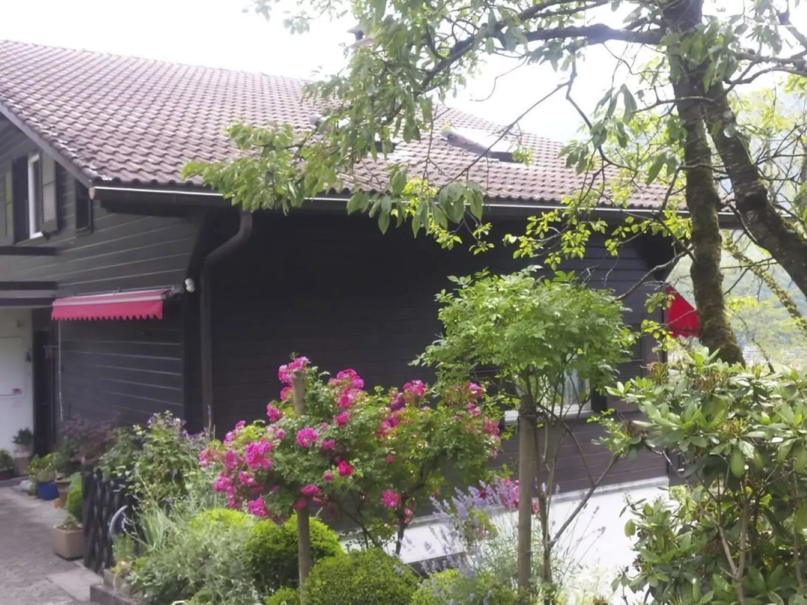 Charmantes Chalet Apartment mit Aussicht