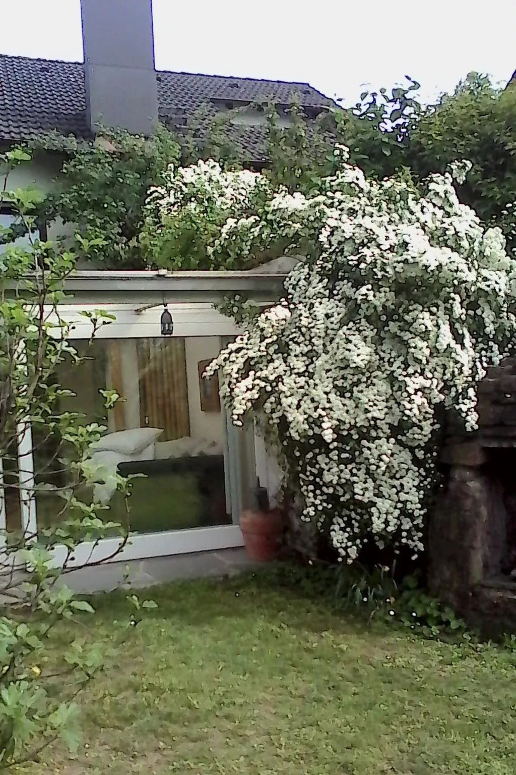 Urlaub am Feigenbaum in Nußloch