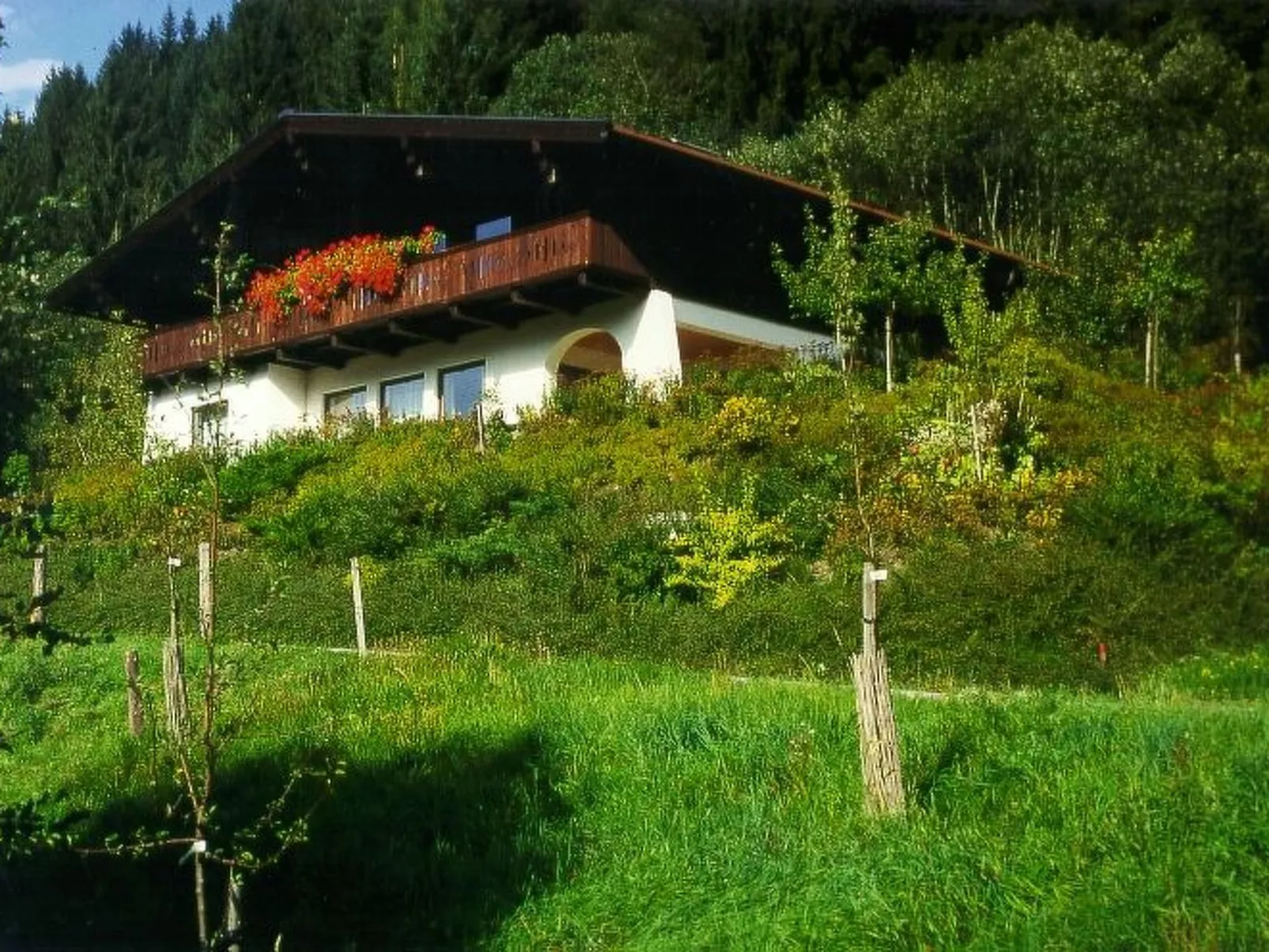 Hans Ebner in Eben im Pongau