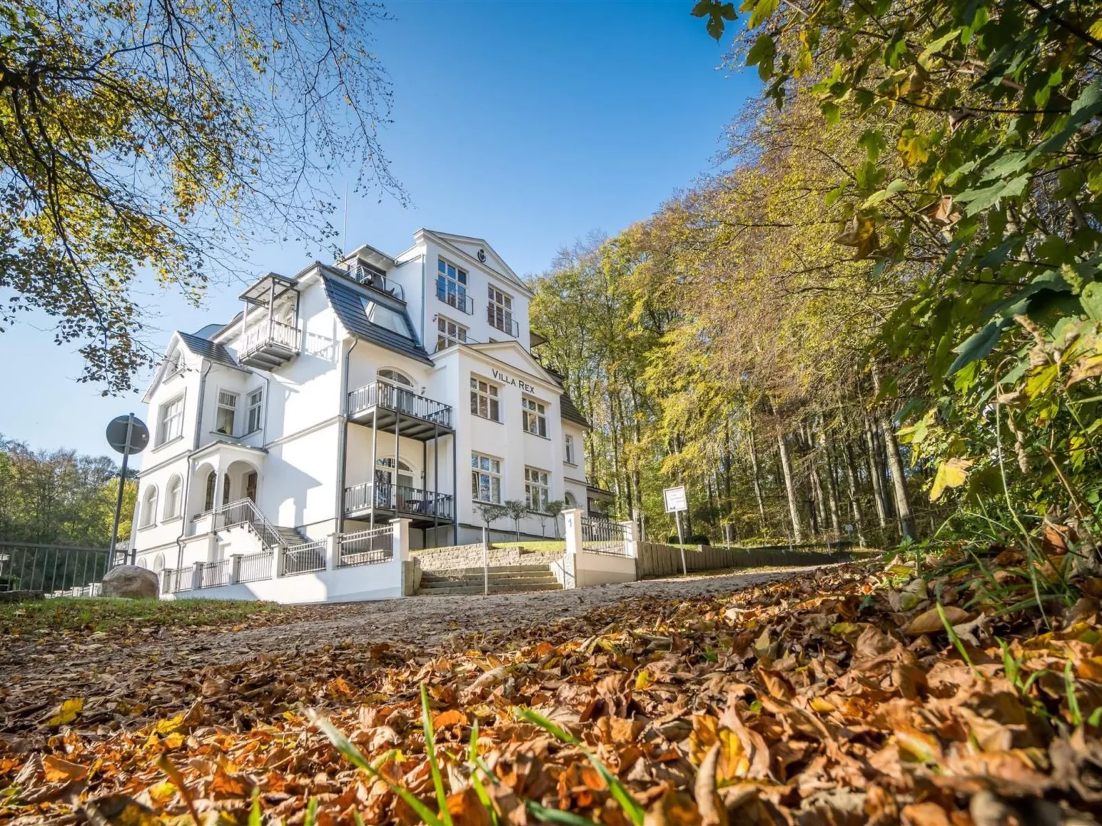 Schilfrohr Meerblick