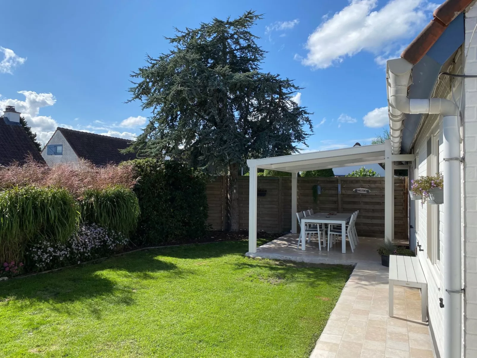 Zonneweelde bei Dünen und Wald