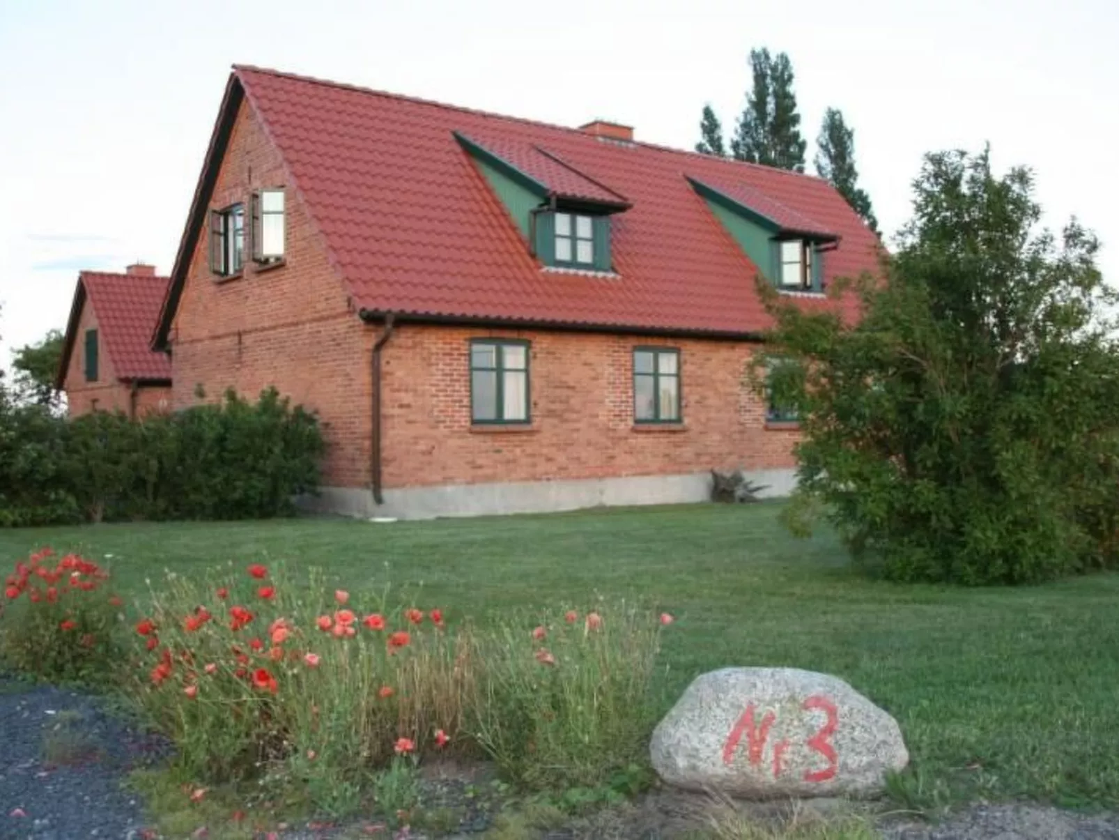 Gans in Ummanz-Lüßvitz