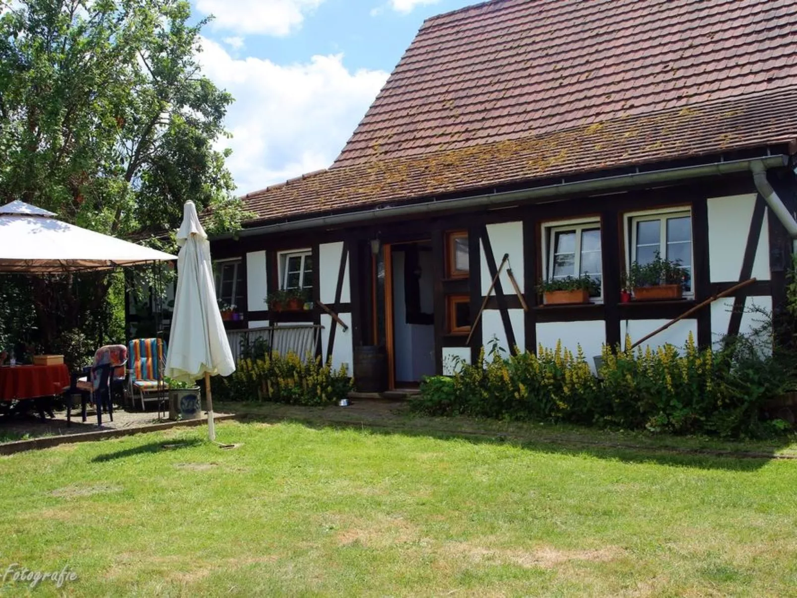 Gemütliches Appartement in Betschdorf