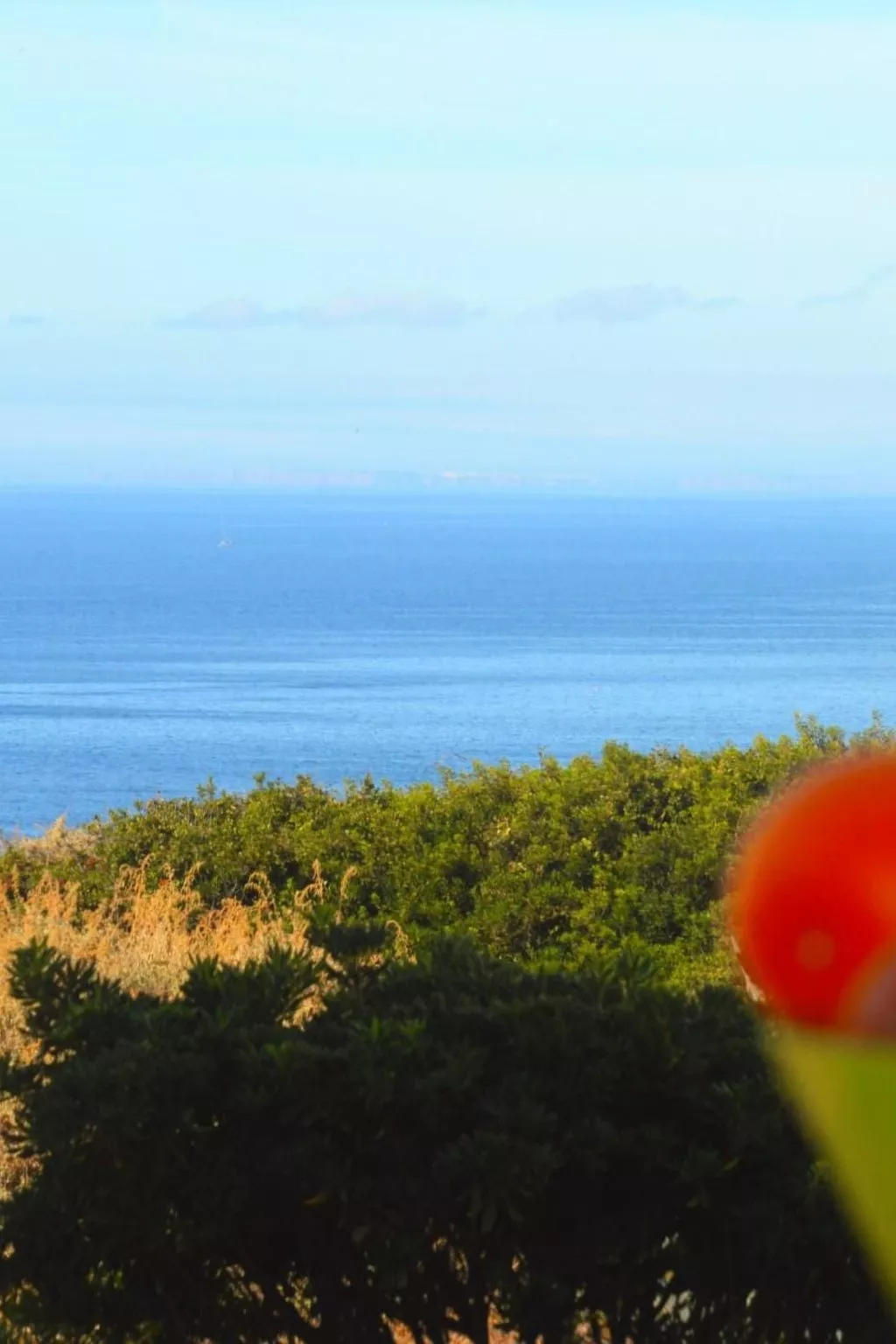 Wohnung mit Blick auf das Wasser