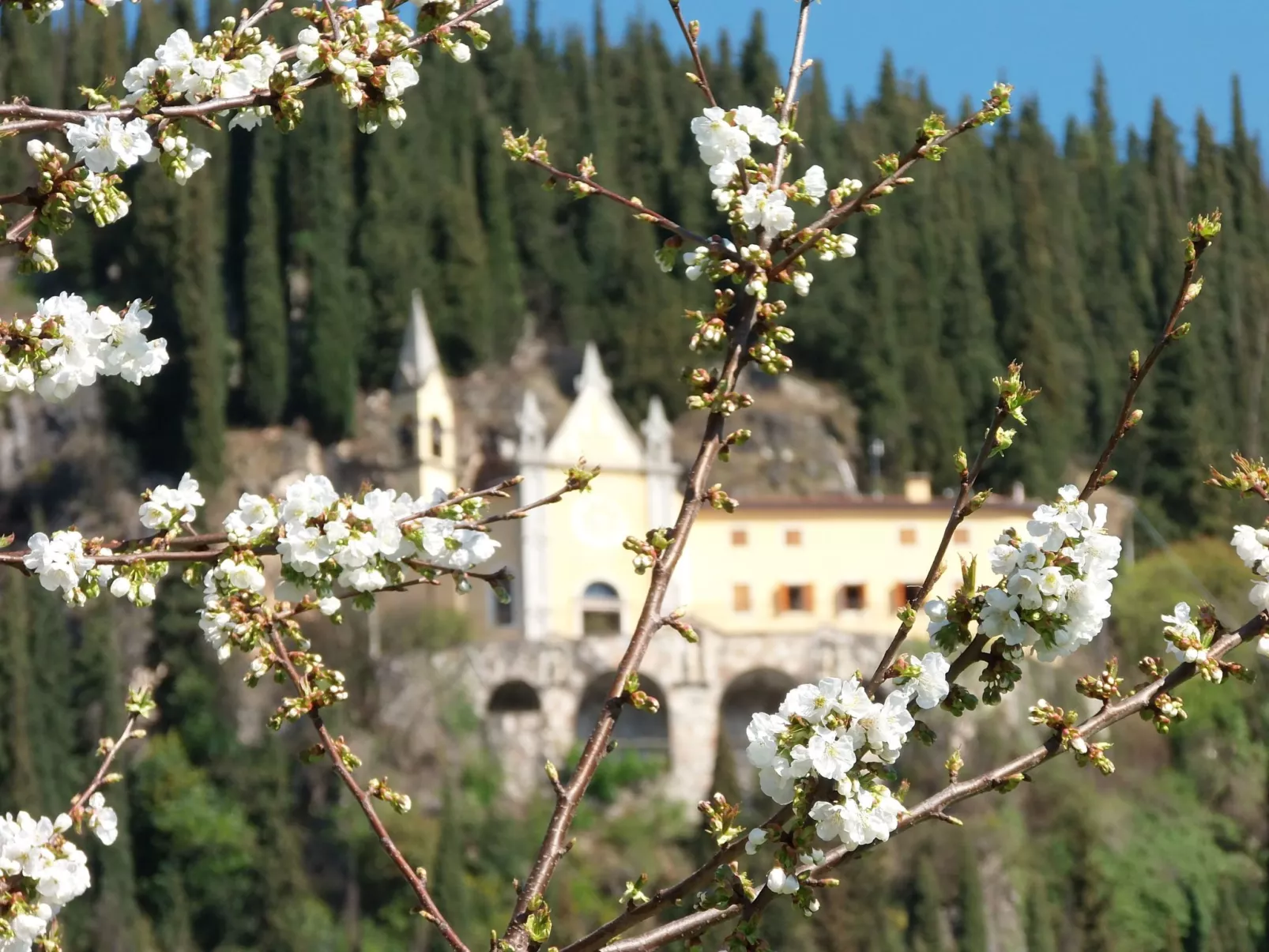 Anwesen mit Garten, Grill und Terrasse
