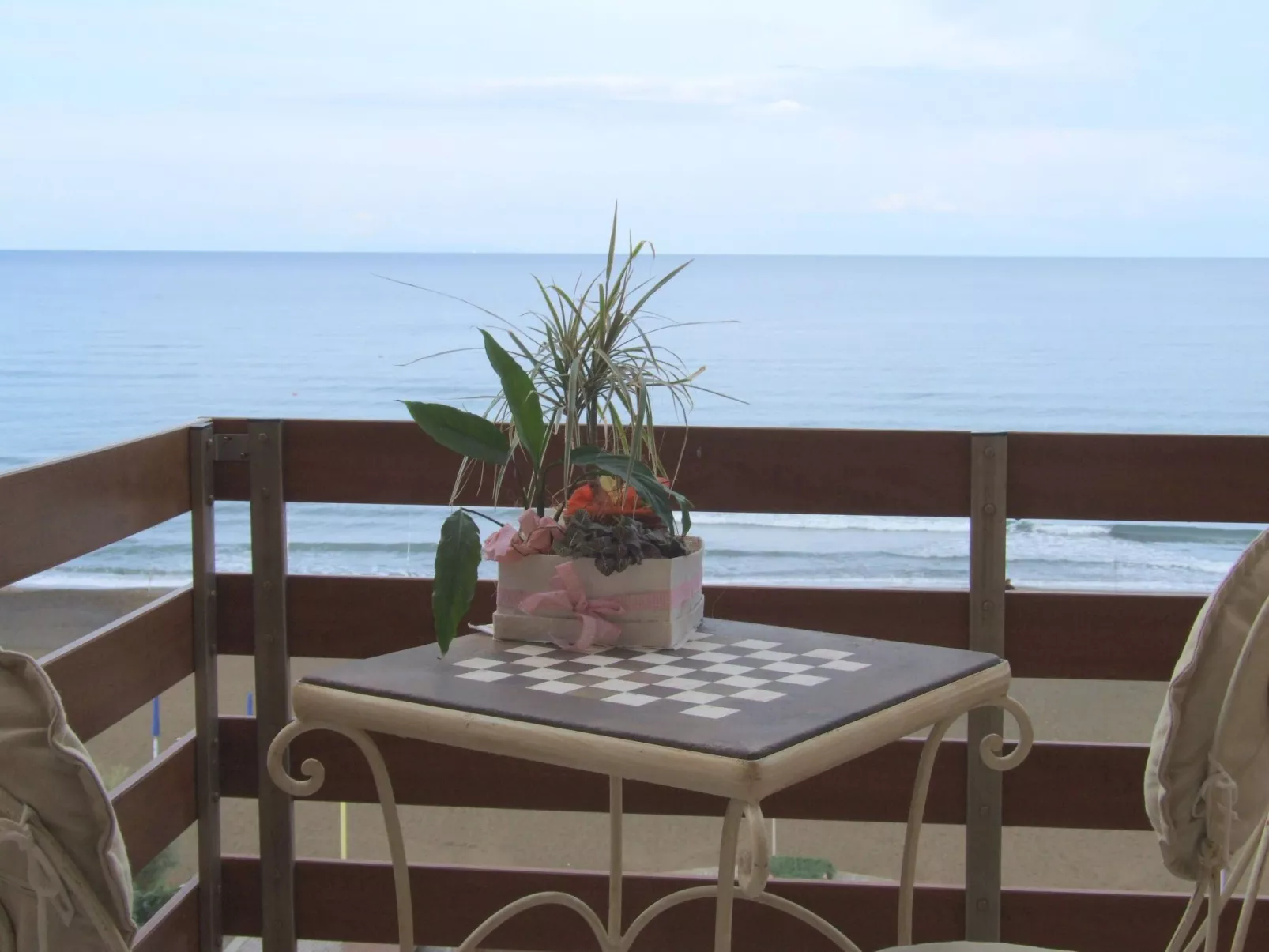 Rododendro von Holiday World