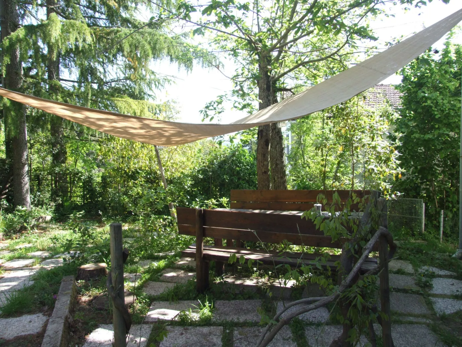 Violetta von Holiday World