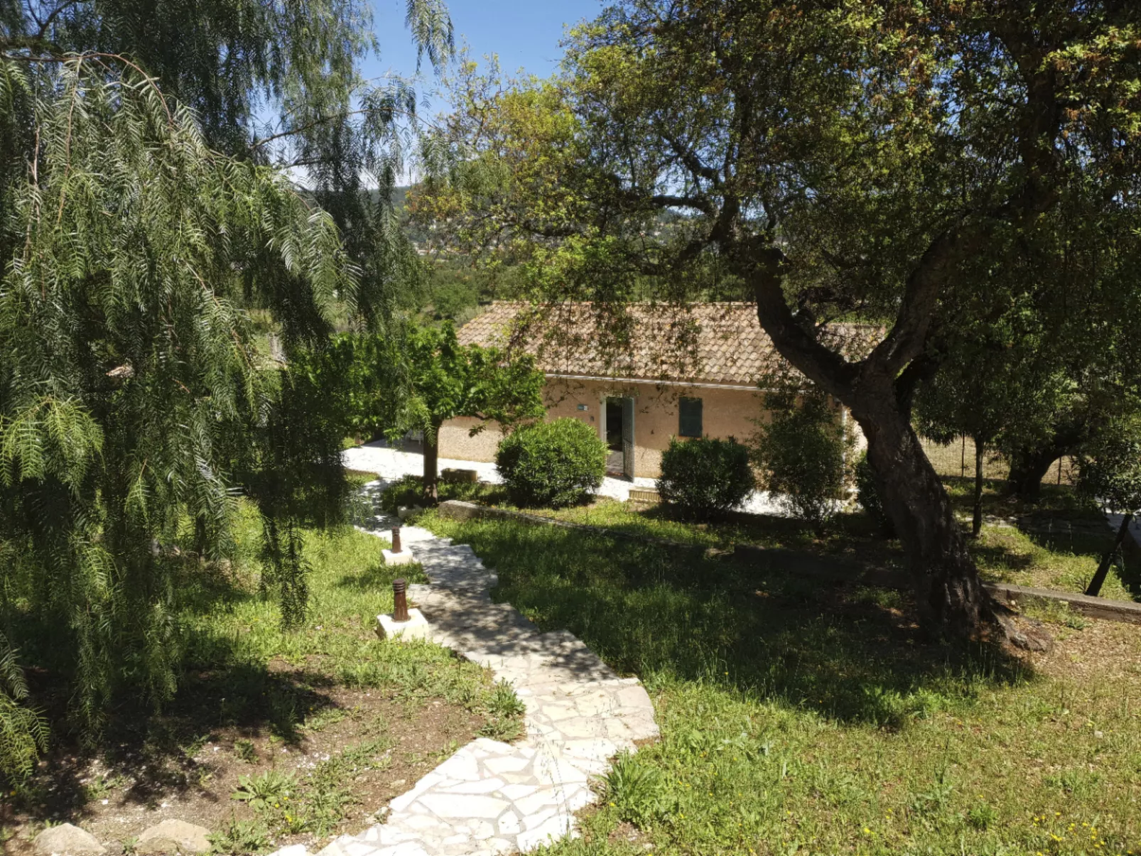 Im Herzen der Weinberge, schattige Terrasse umgeben von Grün, Pool
