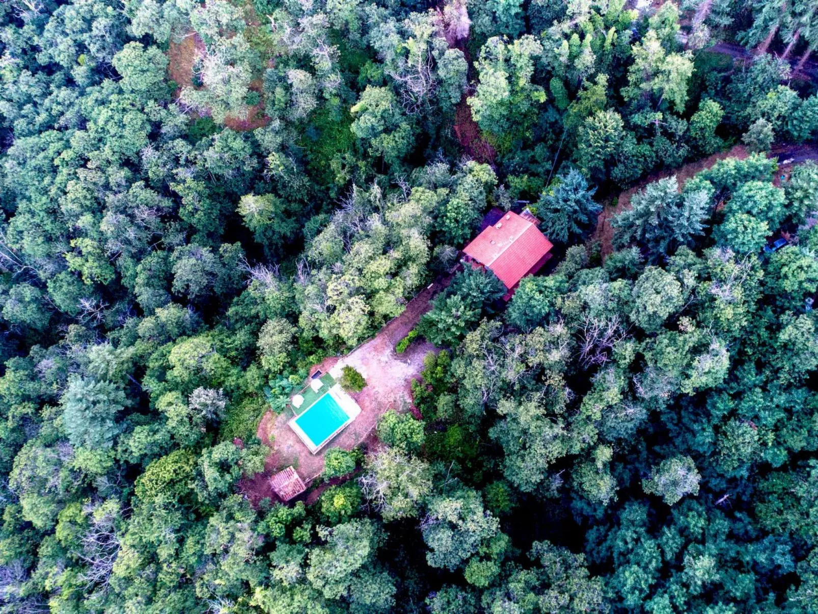 Haus inmitten der Natur mit Schwimmbad