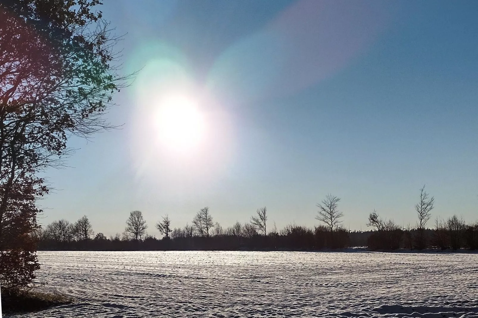 "An der Treene"-Gebiet Winter 20 km