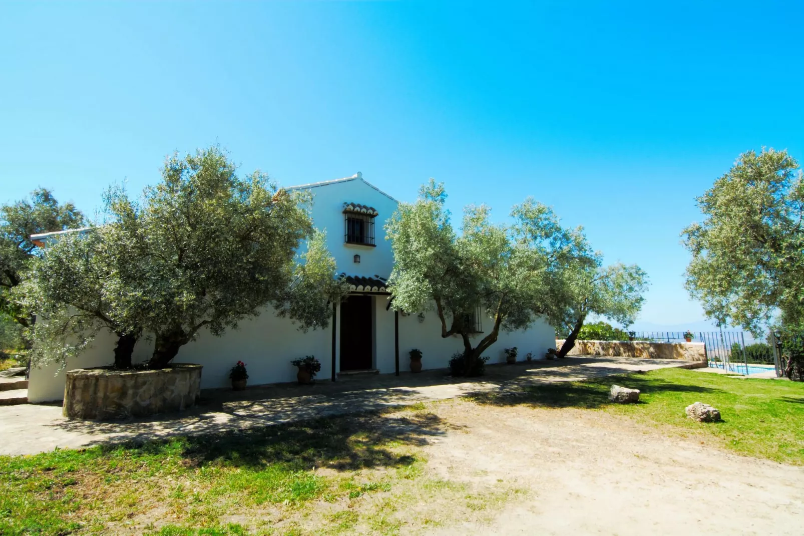 Cortijo Los Olivos-Exterior summer