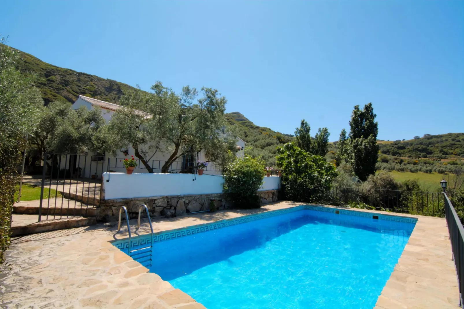 Cortijo Los Olivos-Pool