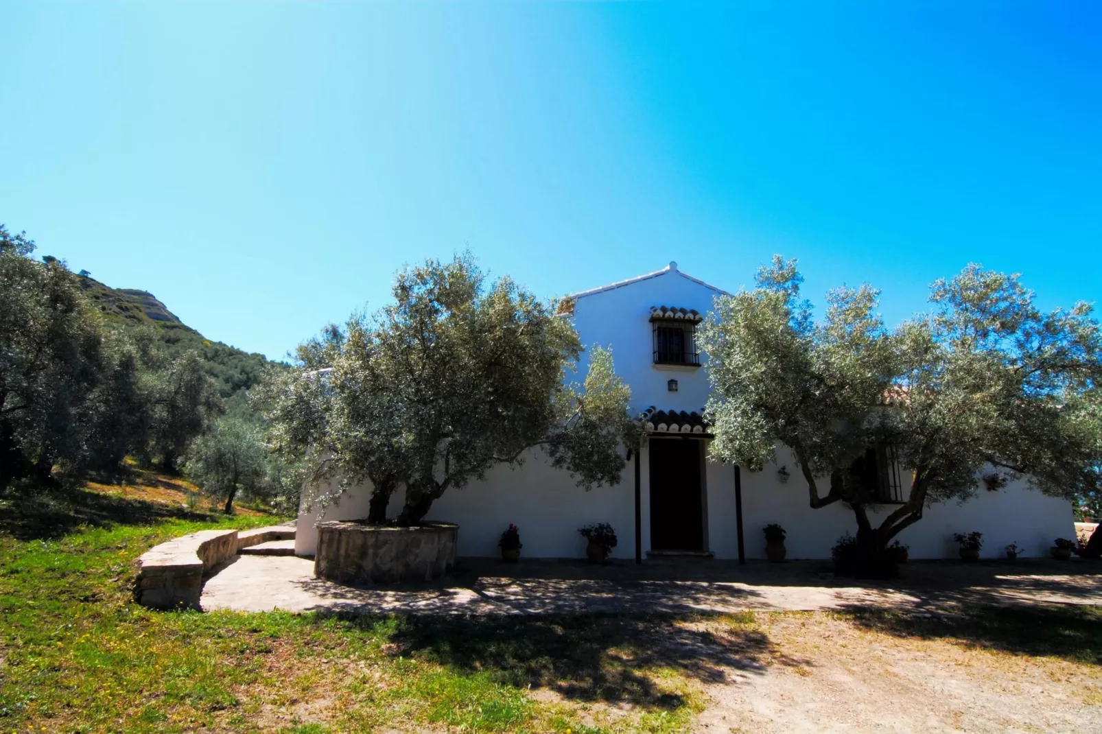 Cortijo Los Olivos-Exterior summer