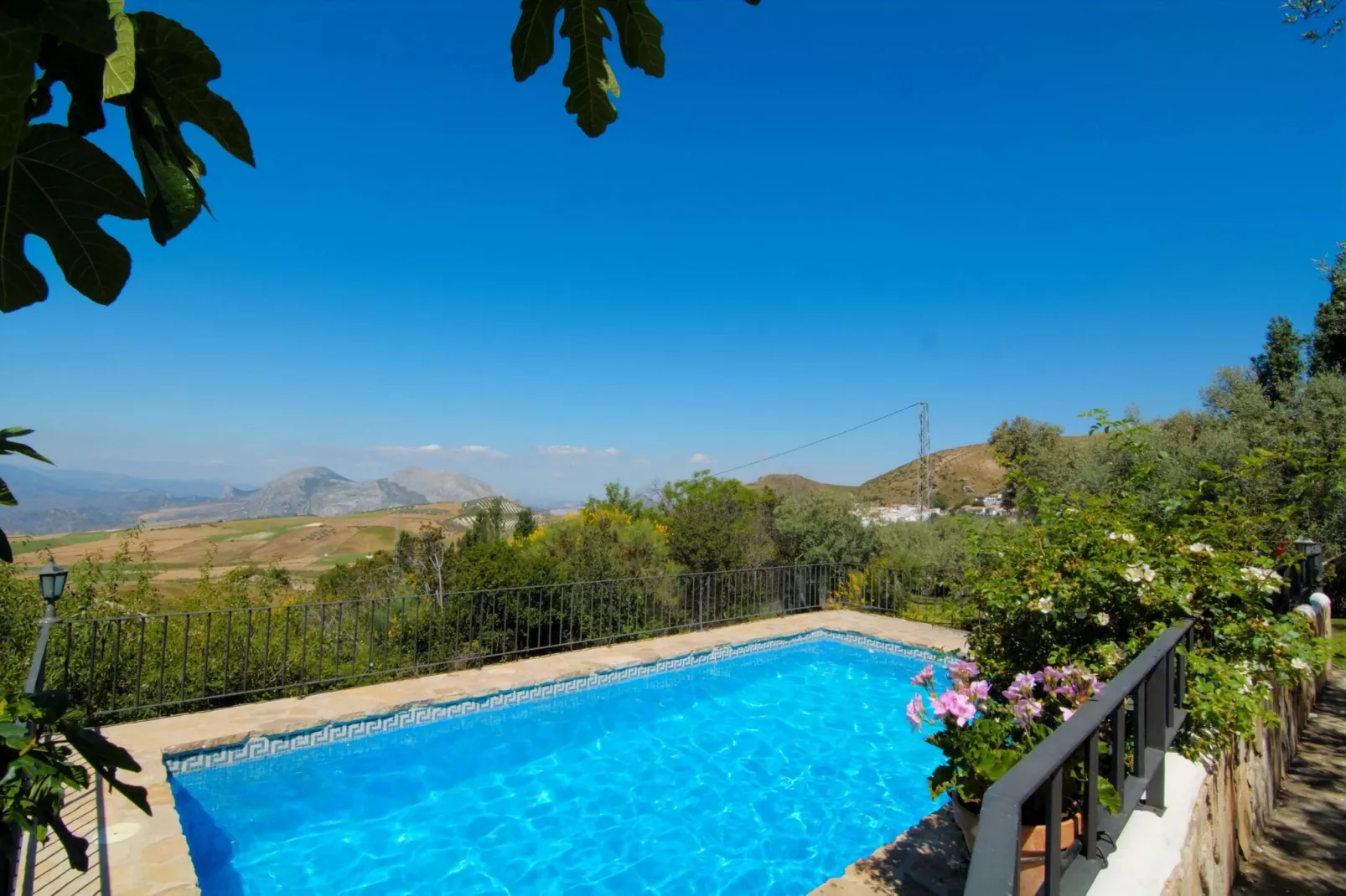 Cortijo Los Olivos-Pool