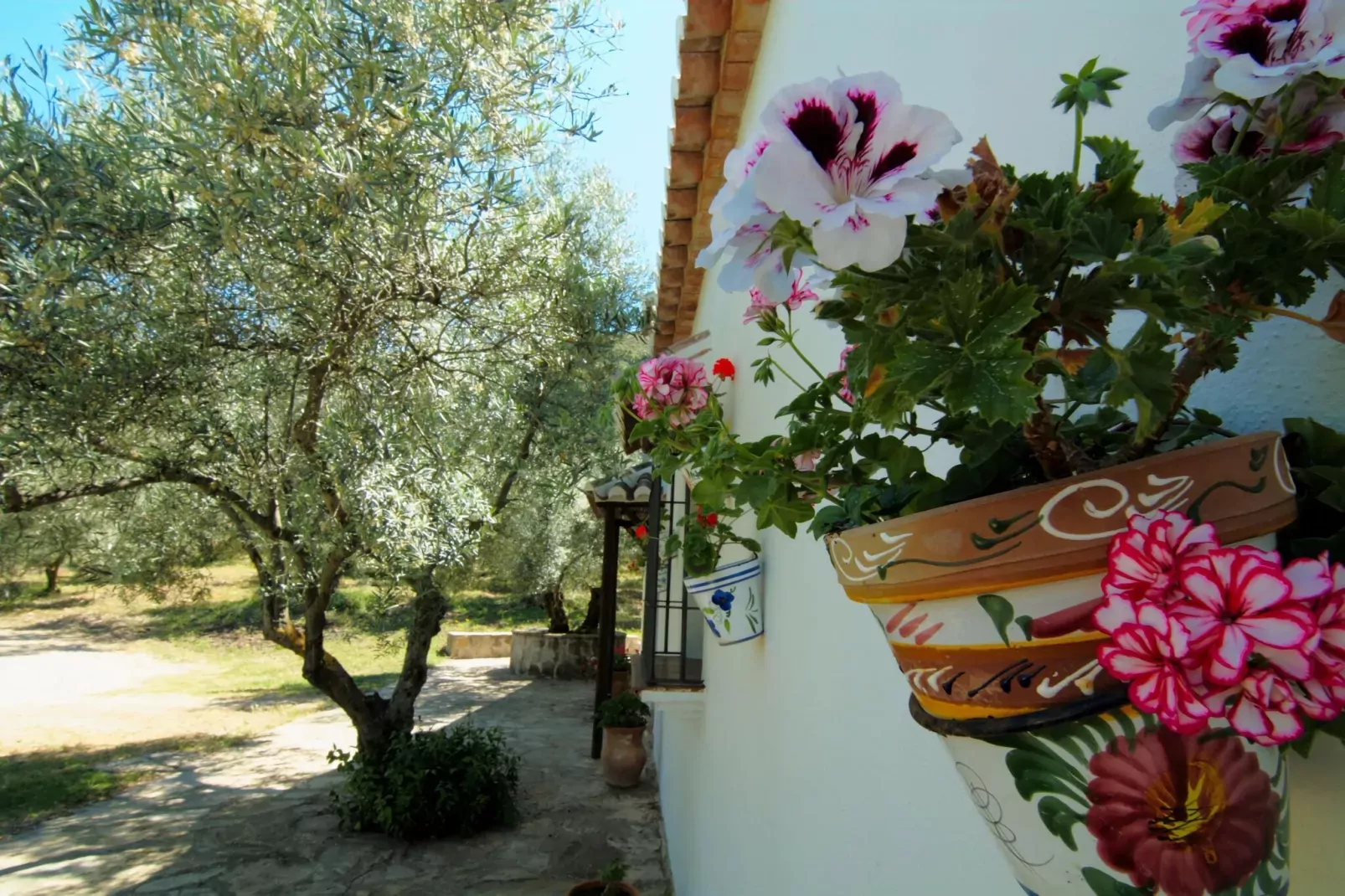 Cortijo Los Olivos-Gardens summer