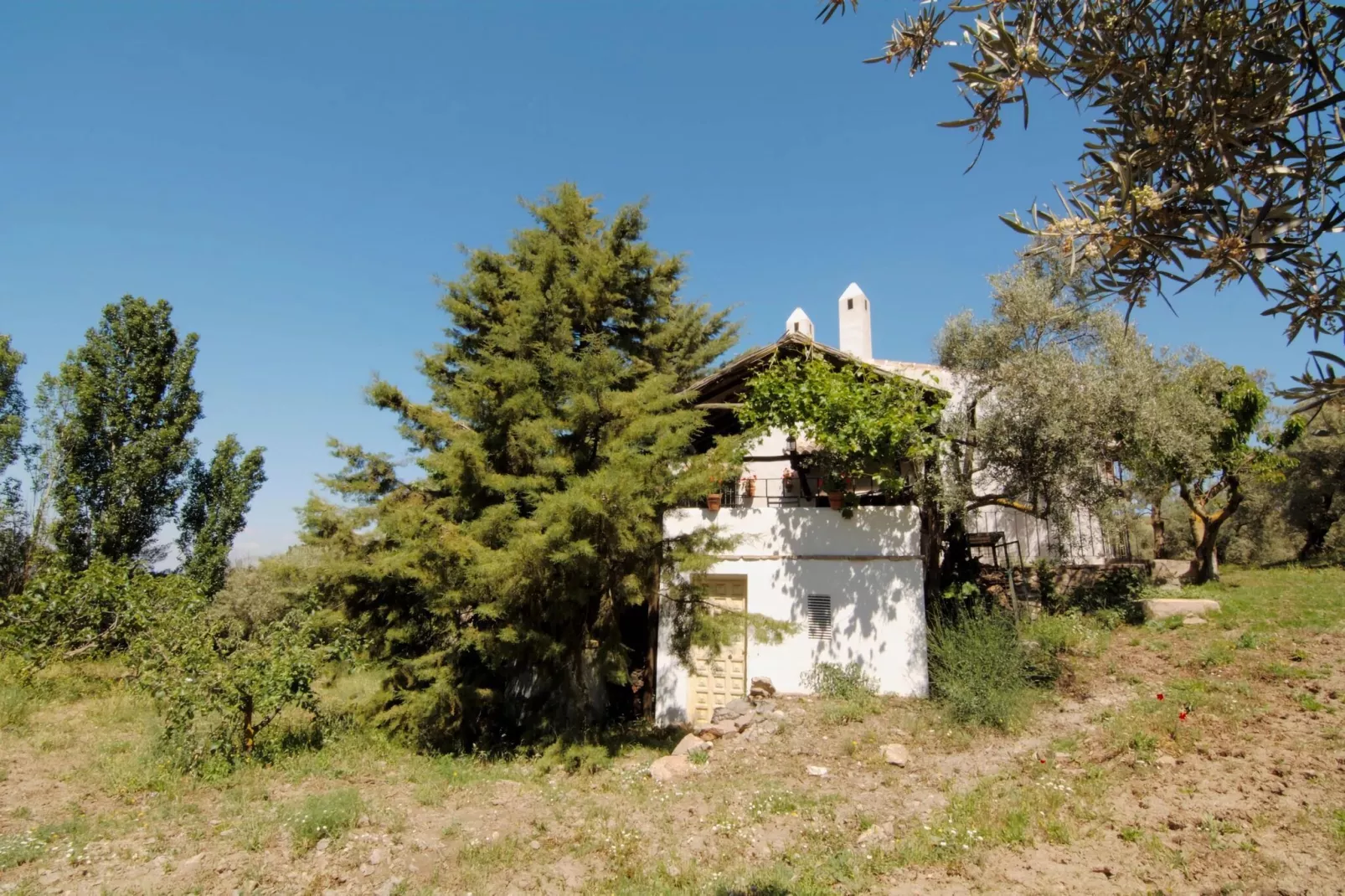 Cortijo Los Olivos-Gardens summer