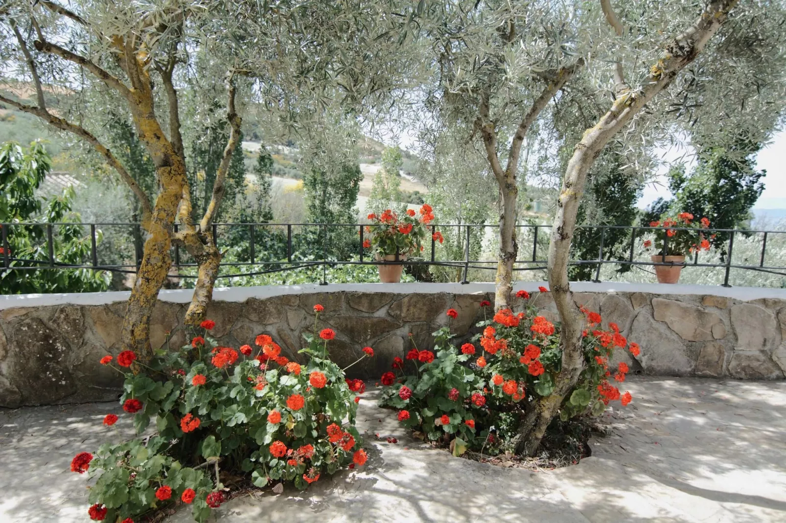 Cortijo Los Olivos-Gardens summer