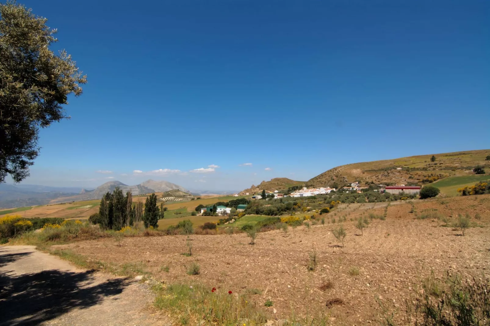 Cortijo Los Olivos-Areas summer 1km