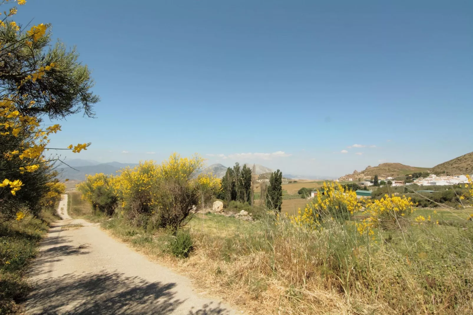 Cortijo Los Olivos-Areas summer 1km