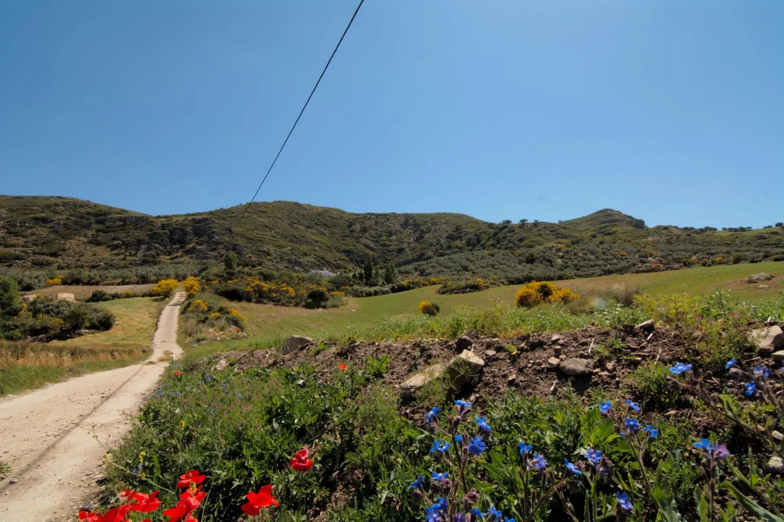 Cortijo Los Olivos-Areas summer 5km