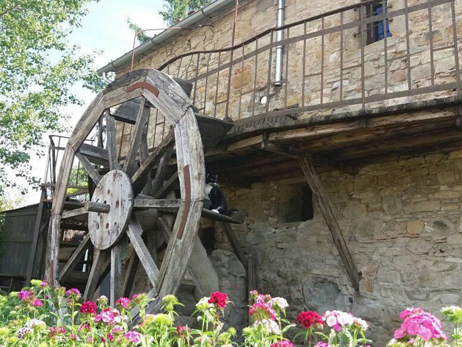 Landgut "Il Molino" mit Terrasse und Garten