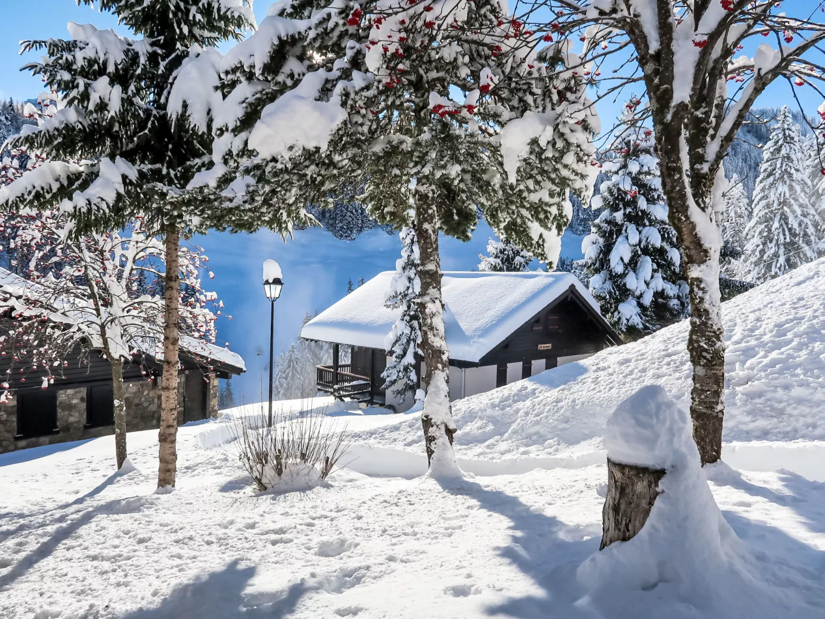 Le Cyclamen-Draußen