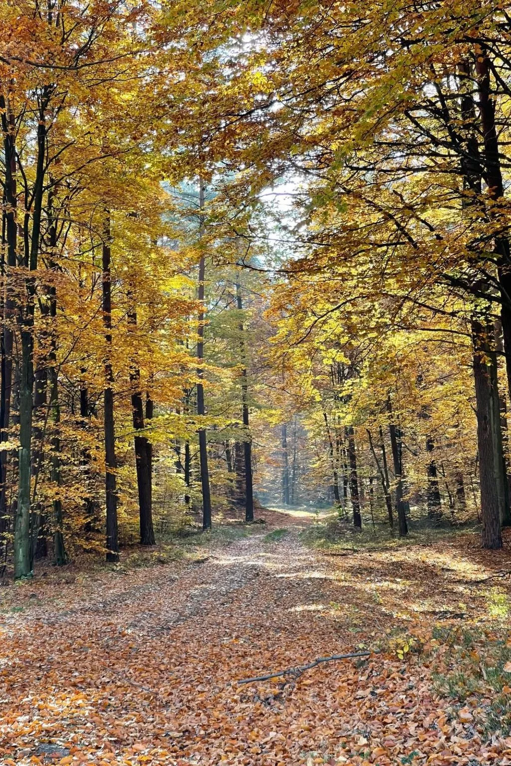 Vogelecke - abseits des Trubels und der Hektik-Image-tags.info